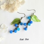 青い木の実ピアス/イヤリング　