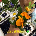 🥕👒黄色帽