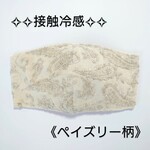 送料無料　【接触冷感】ペイズリー柄✧マスク