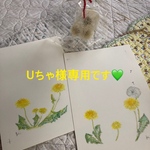 ぐりんぐりん🌻👒
