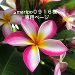 maripo０９１６様専用ページ
