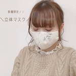 残りわずか！！立体マスク