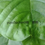 【yuyu5pchan9様専用】