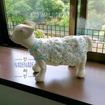 ふんわりワンピース♪　野の花模様ダブルガーゼ❁　　