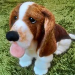 バセットハウンド
