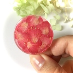 【送料無料】 ミニバラのポニーフック