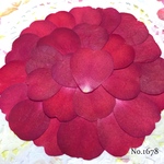 ♡new♡作家様必見♡ 花びらがいっぱい♡ 押し花セット