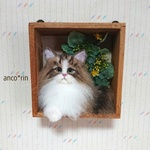 【新作】羊毛フェルト 猫 ノルウェージャンフォレストキャットのフラワーフレームボックス