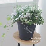 ꫛꫀꪝ✧‧˚ペチュニアヴァンサンカンの寄せ植え❁¨̮プレゼントにも