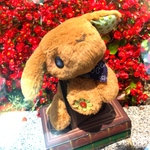 くたくたいぬちゃん①