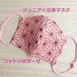 再販ジュニア☆立体マスク(鬼滅の刃麻の葉)