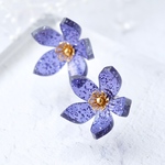 Blossom イヤリング／ピアス｜Cosmo Navy (コスモネイビー)｜金属アレルギー対応｜チタン｜アクリルアクセサリー｜新作デー