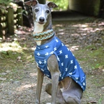 『冷感ニット・クールクロス🎐』