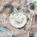 みゆき様専用ページです。それ以外の方は購入しないようにお願いします。
