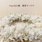 ＊ppt265s様　専用ページ＊
