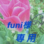 専用！ ポニーフック 4点おまとめ
