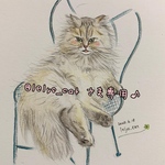 @lelys_cat さま専用♪