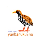 アダルトサイズ　天然記念物　動物　ちぎり絵　Ｔシャツ　ヤンバルクイナ