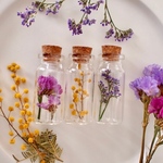 Flower  Bottle set mini（ブルーファンタジー、ミモザ、スターチス）　フラワーボトル　植物標本　