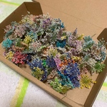 レースフラワー　ドライフラワー 