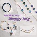 【2点＋おまけ】Happy bag BLUE