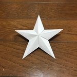 apppple6様　オーナメントバーンスター  白色×10個