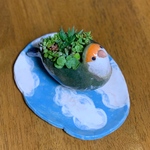 可愛いコザクラインコ🦜の陶器鉢&青空に浮かぶ雲のプレート