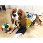 デザインTシャツ