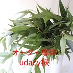 オーダー専用　udady様