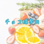 ＊チョコ様専用＊