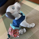 アイボ  の服・水色リボン〜aibo〜