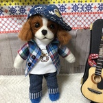 yo!キャバリアくん