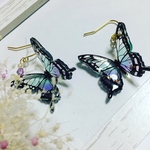 透き通るカラーの蝶々のピアス🦋