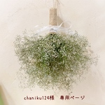＊chaniku124専用ページ＊