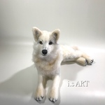 白狼