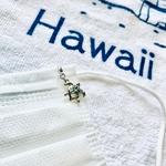 Hawaiianマスクチャーム　ホヌ