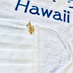 送料込！Hawaiianマスクチャーム　モンステラ