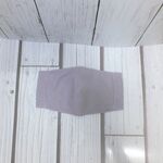 女性用（小さめ）・立体マスク・パープル・フイルターポケット付