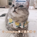♡megpua様ご追加分♡