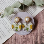 white marguerite ﾎﾞﾀﾝﾋﾟｱｽ  ﾎﾞﾀﾝｲﾔﾘﾝｸﾞボタン ぼたん