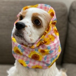 ひまわり×ギンガムチェック❤︎ピンク　中型犬用スヌード　犬用スヌード