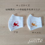 送料無料【SALE!!】夏用＊立体子供用マスク＊キッズサイズ＊アイスバー（アカ、キャメル）