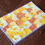 お花屋さんが作ったふんわり可愛いビオラのドライフラワー    15