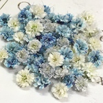 小粒　かすみ草　ドライフラワー　blue gradation mix