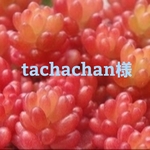 tachacan様専用❤追加分❤