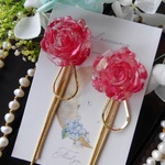 華やかなる薔薇🌹の世界へ～ルージュレッド