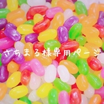さちまる様専用ページ