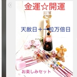 天赦日＋一粒万倍日お楽しみセット☆白蛇の抜け殻とパワーストーンのオルゴナイト最強波動限定品☆