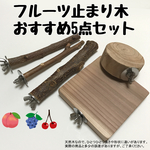 フルーツ止まり木  おすすめ5点セット