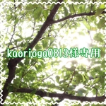 kaorioga0813様オーダー品